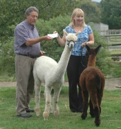 Graham handing over the fund raising cheque to The Hospice in the Weald.